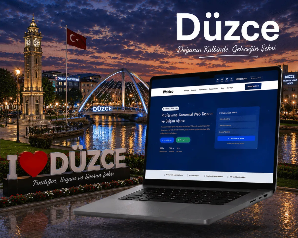 Düzce web tasarım | Webioo