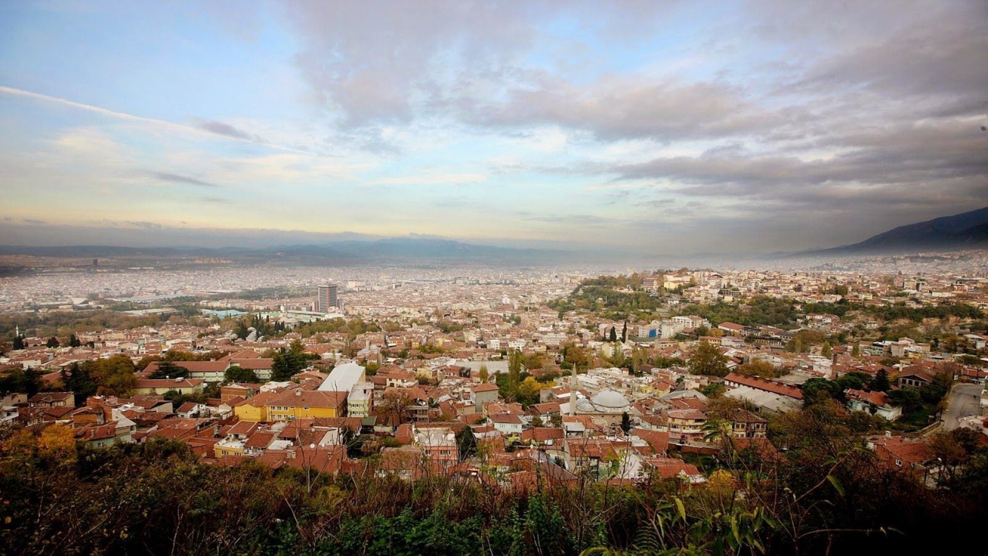 Bursa Web Tasarım