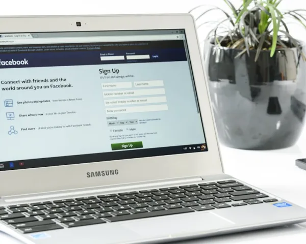 Web Sitesi Form Tasarımı: Dönüşüm Oranınızı Nasıl Artırır?