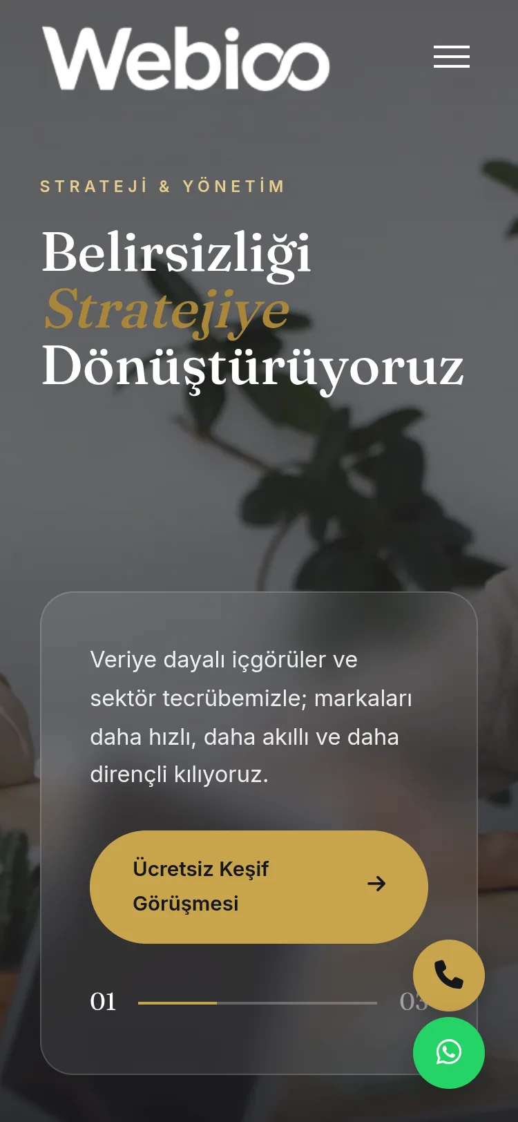 Danışmanlık Şablonu #1 - Mobil Gorunum